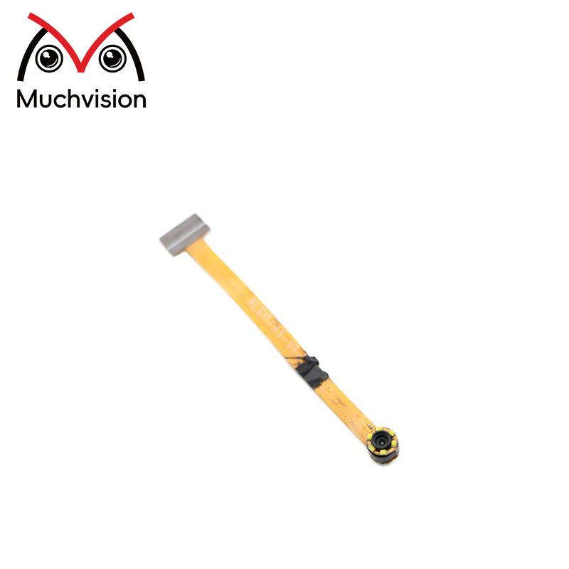 DVP BF 2013 0.3 Módulo de cámara MP 640X480 VGA Resolución CMOS Sensor Alta velocidad de detección de la piel Módulo de endoscopio de detección